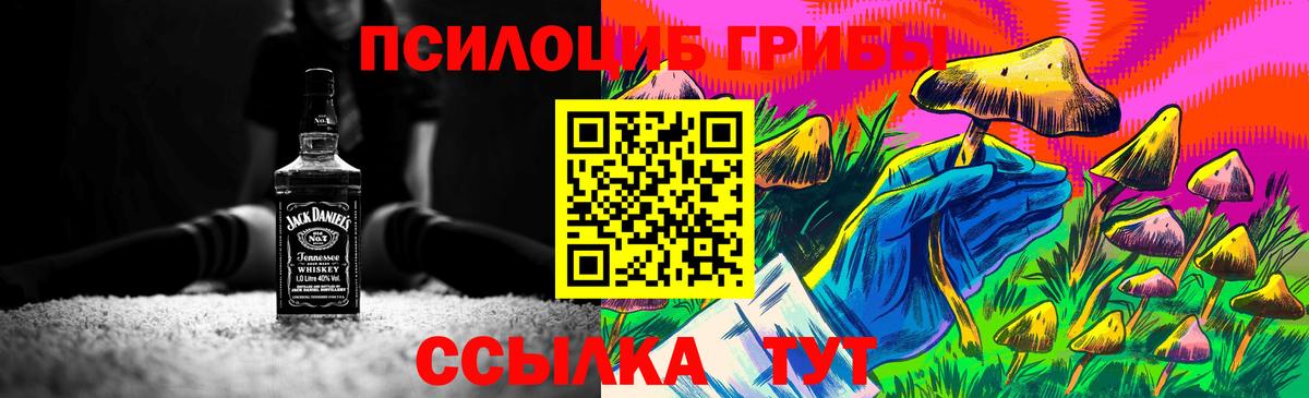 Улан-Удэ  Галлюциногенные грибы Psilocybe  Вход с VPN  Галлюциногенные грибы Cubensis 